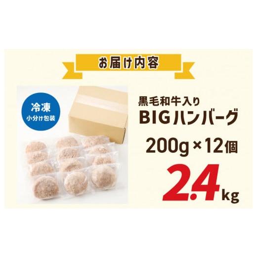 ふるさと納税 大阪府 泉佐野市 【期間限定】黒毛和牛入り BIGハンバーグ 総量2.4kg（200g×12個）泉州玉ねぎ使用｜furusatochoice｜08