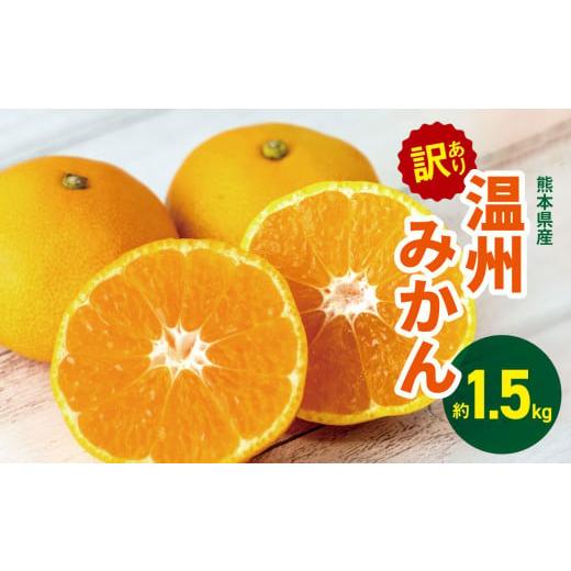 ふるさと納税 果物類 みかん 熊本県 玉名市 訳あり 熊本県産 温州みかん 約 1.5kg | 果物 くだもの フルーツ 柑橘 柑橘類 みかん ミカン 温州 大小混合 熊本県…