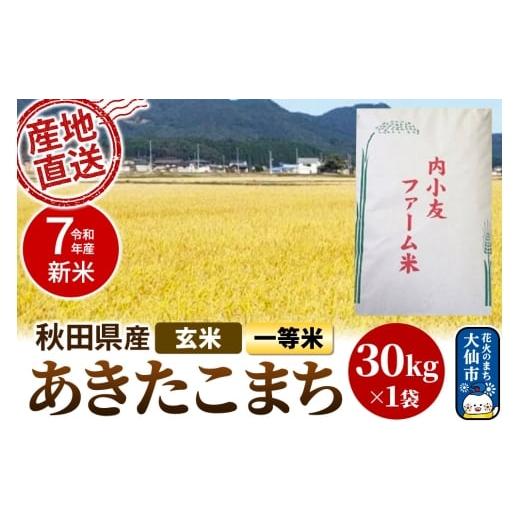 ふるさと納税 玄米 秋田県 大仙市 新米 米 令和7年産 秋田県産あきたこまち 一等米 農家直送 玄米30kg 内小友ファーム