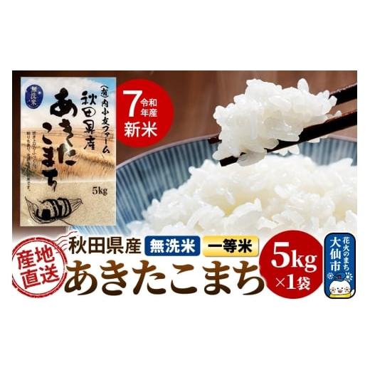 ふるさと納税 米 あきたこまち 秋田県 大仙市 新米 米 令和7年産 秋田県産あきたこまち 一等米 農家直送 無洗米5kg 内小友ファーム