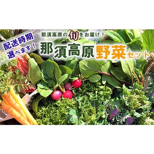 ふるさと納税 セット・詰合せ 栃木県 那須町 2026年5月発送 配送月が選べる 那須ブランド 那須高原野菜セット | 野菜 お野菜 新鮮 詰め合わせ やさい みずみ…