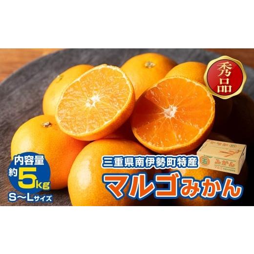 ふるさと納税 果物類 みかん 三重県 南伊勢町 みかん 温州みかん 約5kg (S〜Lサイズ) 秀品 数量限定 期間限定 柑橘 蜜柑 mikan フルーツ 果物 くだもの 国産…