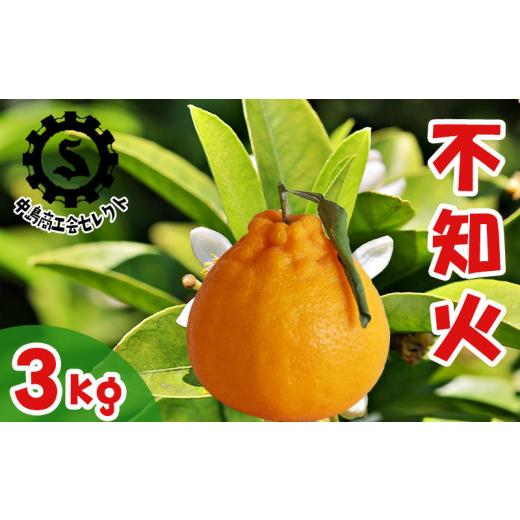 ふるさと納税 みかん・柑橘類 愛媛県 松山市 順次発送中 不知火 (デコポンと同品種) 約3kg 良品 | 高級 みかん 蜜柑 愛媛 松山 柑橘 小玉 甘い おすすめ 中島…