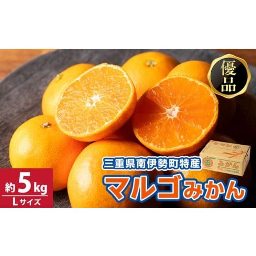 ふるさと納税 果物類 みかん 三重県 南伊勢町 みかん 温州みかん 約5kg Lサイズ 優品 家庭用 期間限定 柑橘 蜜柑 mikan フルーツ 果物 くだもの 国産 ブランド…
