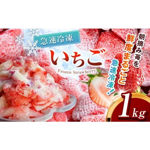 ふるさと納税 いちご 栃木県 真岡市 冷凍いちご とちあいか 1kg カット済み | 定期便 訳あり 2026年 とちあいか いちご イチゴ 朝摘み 冷凍 ジャム カクテル …