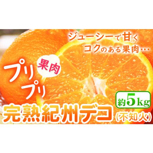 ふるさと納税 みかん・柑橘類 デコポン 和歌山県 日高町 先行予約 果肉プリプリ 完熟 紀州 デコ ( 不知火 ) 約 5kg 果肉 デコ 株式会社魚鶴[2027年2月下旬-3…