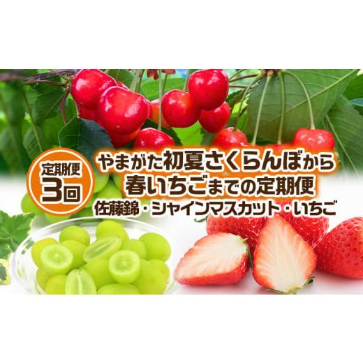ふるさと納税 果物類 さくらんぼ 山形県 山形市 定期便3回 やまがた 初夏さくらんぼから春いちごまでの定期便 佐藤錦・シャインマスカット・いちご 令和8年産…