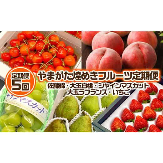 ふるさと納税 果物類 さくらんぼ 山形県 山形市 定期便5回 やまがた 煌めきフルーツ定期便(佐藤錦・大玉白桃・シャインマスカット・大玉ラ・フランス・いちご…