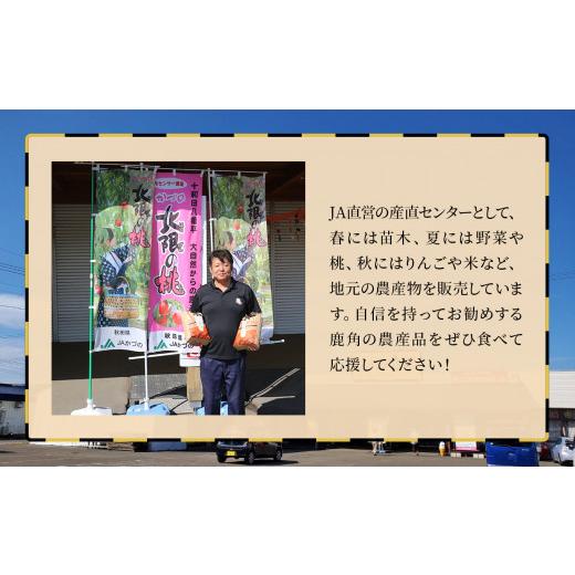 ふるさと納税 米 あきたこまち 秋田県 鹿角市 令和7年産「あきたこまち」精米 5kg × 3ヶ月 定期便（合計15kg）JA かづの産直センター おらほの市場 米 お米 …_3