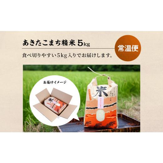 ふるさと納税 米 あきたこまち 秋田県 鹿角市 令和7年産「あきたこまち」精米 5kg × 3ヶ月 定期便（合計15kg）JA かづの産直センター おらほの市場 米 お米 …_5