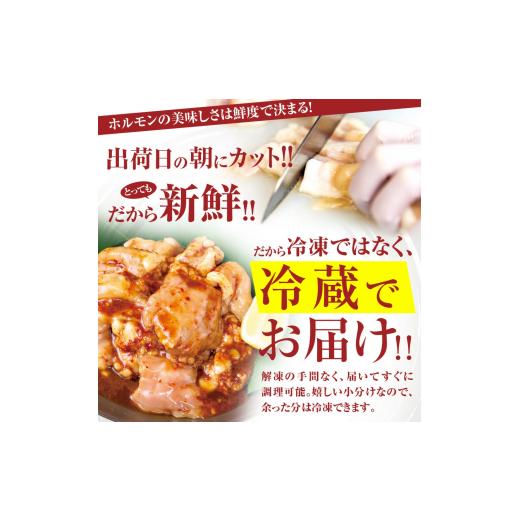 ふるさと納税 京都府 舞鶴市 【タレ揉み＋牛しろ】 極みの スタミナ ホルモン マルチョウ 1kg 250×4袋 小分け タレ付き タレ揉み500g＋牛しろ500g｜furusatochoice｜05