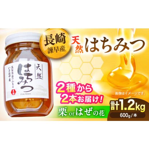 ふるさと納税 加工品等 はちみつ 長崎県 諫早市 長崎県産天然はちみつ600g(2本セット) ／ 百花蜜 百花蜂蜜 蜂蜜 はちみつ ハチミツ ／ 諫早市 ／ 坂口養蜂 AHD…_1