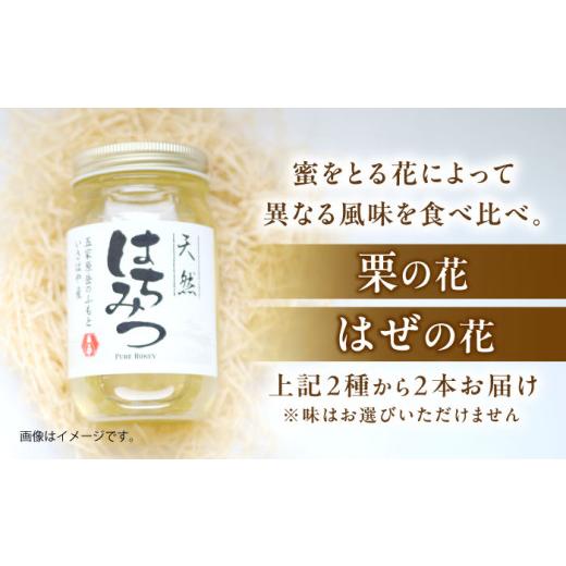 ふるさと納税 加工品等 はちみつ 長崎県 諫早市 長崎県産天然はちみつ600g(2本セット) ／ 百花蜜 百花蜂蜜 蜂蜜 はちみつ ハチミツ ／ 諫早市 ／ 坂口養蜂 AHD…_2