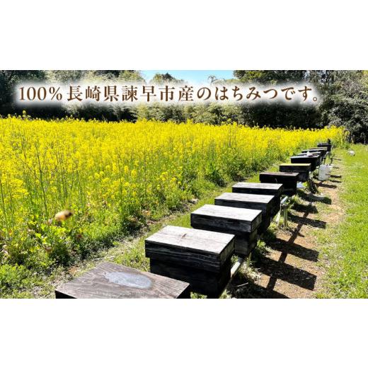 ふるさと納税 加工品等 はちみつ 長崎県 諫早市 長崎県産天然はちみつ600g(2本セット) ／ 百花蜜 百花蜂蜜 蜂蜜 はちみつ ハチミツ ／ 諫早市 ／ 坂口養蜂 AHD…_3
