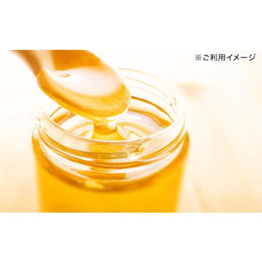 ふるさと納税 加工品等 はちみつ 長崎県 諫早市 長崎県産天然はちみつ600g(2本セット) ／ 百花蜜 百花蜂蜜 蜂蜜 はちみつ ハチミツ ／ 諫早市 ／ 坂口養蜂 AHD…_5