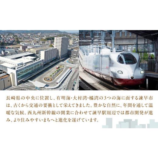 ふるさと納税 加工品等 はちみつ 長崎県 諫早市 長崎県産天然はちみつ600g(2本セット) ／ 百花蜜 百花蜂蜜 蜂蜜 はちみつ ハチミツ ／ 諫早市 ／ 坂口養蜂 AHD…_7