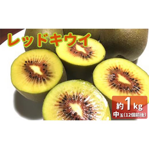 ふるさと納税 果物類 茨城県 鉾田市 レッドキウイ(中玉) 約1kg 12個前後