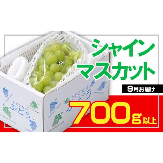 ふるさと納税 ぶどう マスカット 山形県 山形市 フルーツ王国山形 シャインマスカット 秀品 700g以上(1〜2房) 9月お届け 令和8年産先行予約 FS23-733 くだも…