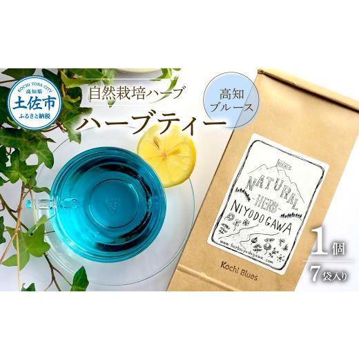 ふるさと納税 紅茶 茶葉・ティーバッグ 高知県 土佐市 ハーブ仁淀川産 高知ブルース ハーブティー ティーバッグタイプ 7袋入り×1個 ハーブティー お茶 自然栽…
