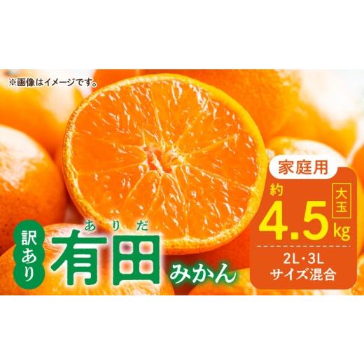ふるさと納税 果物類 みかん 和歌山県 湯浅町 DZ6218_ ふるさと納税 2026年先行予約 ご家庭用 有田みかん 和歌山 大玉(2L 3Lサイズ混合) 約4.5kg |  | 01