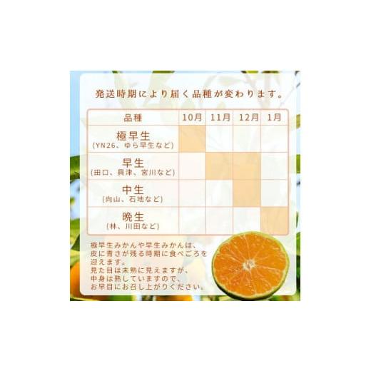 ふるさと納税 果物類 みかん 和歌山県 湯浅町 DZ6218_ ふるさと納税 2026年先行予約 ご家庭用 有田みかん 和歌山 大玉(2L 3Lサイズ混合) 約4.5kg |  | 04