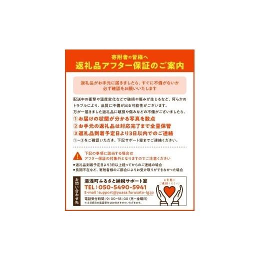 ふるさと納税 果物類 みかん 和歌山県 湯浅町 DZ6218_ ふるさと納税 2026年先行予約 ご家庭用 有田みかん 和歌山 大玉(2L 3Lサイズ混合) 約4.5kg |  | 06