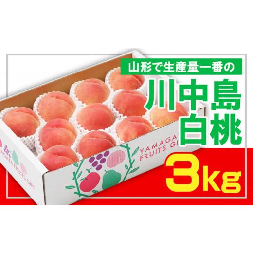 ふるさと納税 もも 山形県 山形市 フルーツ王国山形 白桃 秀品3kg 山形で生産量1番の 川中島白桃 令和8年産先行予約 FS23-825 くだもの 果物 フルーツ 山形 …