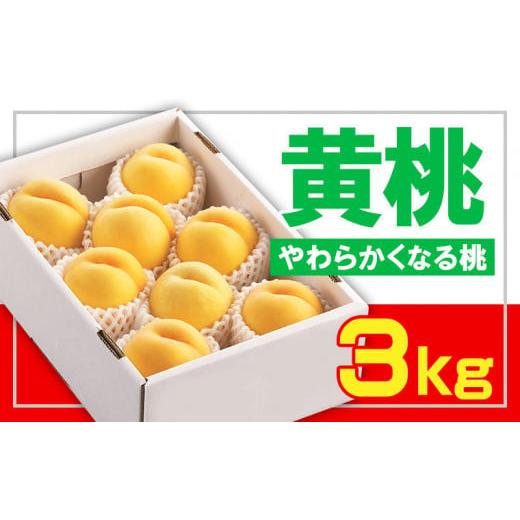 ふるさと納税 もも 山形県 山形市 フルーツ王国山形 黄桃秀品 3kg やわらかくなる桃 令和8年産先行予約 FS23-828 くだもの 果物 フルーツ 山形 山形県 山形市…