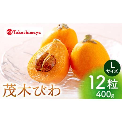 ふるさと納税 果物類 びわ 長崎県 西海市 先行予約 長崎県産ビワ 茂木びわ 計400g Lサイズ 12粒[4月中旬より順次発送]長崎県 西海市 ビワ びわ 枇杷 400g …