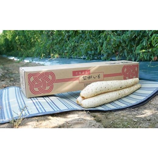 ふるさと納税 野菜類 北海道 音更町 北海道十勝産ながいも 4本セット