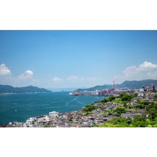 ふるさと納税 醤油 広島県 江田島市 リピーター続出の玉萬寿醤油 500mL×5本 醤油 うす塩 健康 濃口 和食 醤油 しょう油 しょうゆ お醤油 セット 詰め合わせ …の画像
