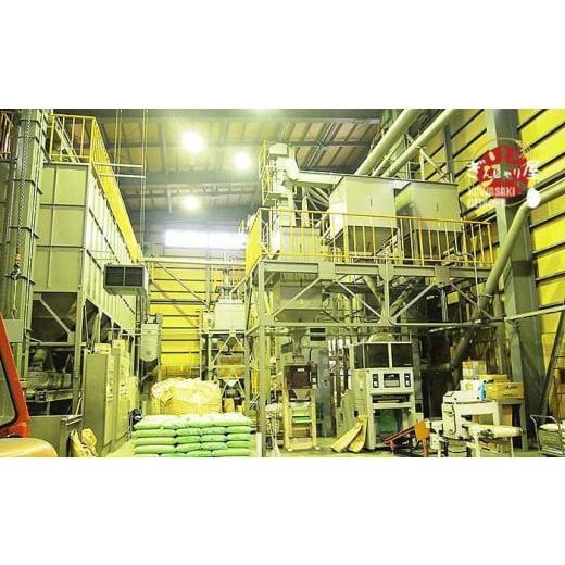 ✨美品✨ ふるさと納税 北海道 帯広市 【定期便】北海道産 ゆめぴりか 精米10kg (5kg×2袋)×8ヶ月定期便 ごはんソムリエ監修 12年連続特A評価 【FK1589621060】(56000円)