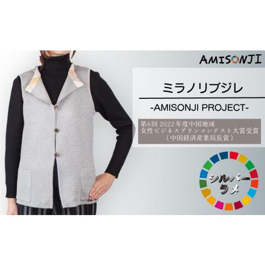 ふるさと納税 服 山口県 宇部市 AMISONJI ミラノリブジレ シルバーラメ AMISONJI ミラノリブジレ シルバーラメ