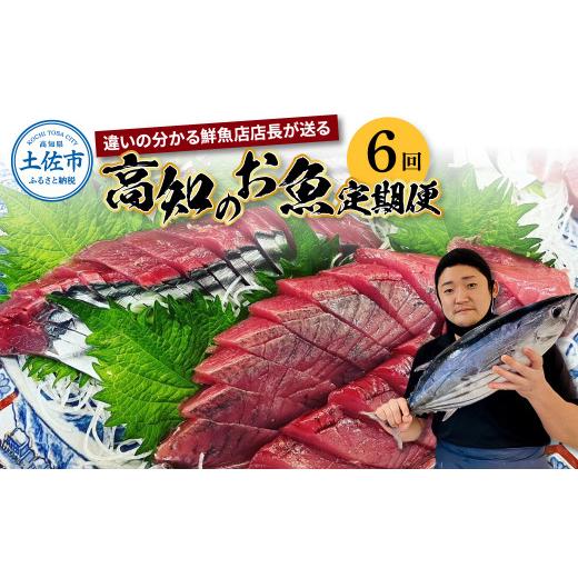ふるさと納税 カツオ 高知県 土佐市 全6回定期便 違いの分かる鮮魚店店長が送る 高知のお魚定期便 高知県 土佐市 高知 土佐 詰め合わせ セット 人気 おすすめ…