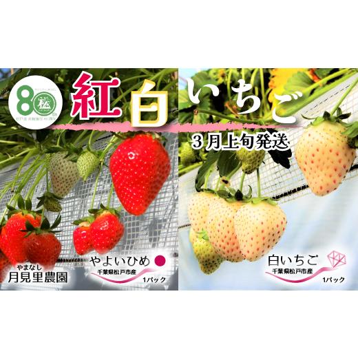 ふるさと納税 千葉県 松戸市 EH004-d 【松戸市制施行80周年】紅白いちご食べ比べセット　2パック　3月上旬発送 