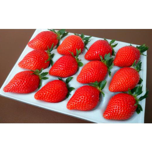 ふるさと納税 千葉県 松戸市 EH004-d 【松戸市制施行80周年】紅白いちご食べ比べセット　2パック　3月上旬発送 