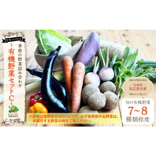 ふるさと納税 セット・詰合せ 北海道 北広島市 有機JAS認定 季節の野菜詰め合わせ 〜有機野菜セットC〜の画像