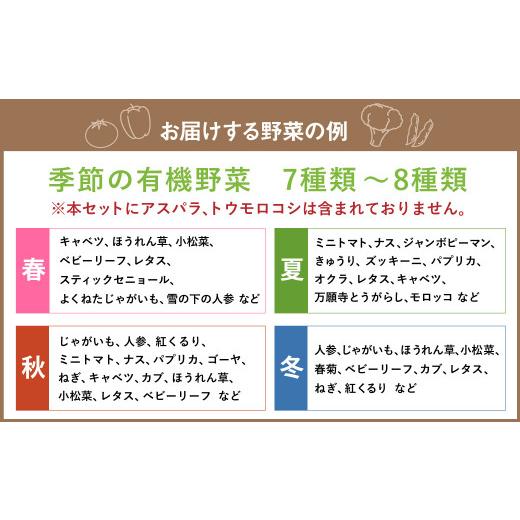 ふるさと納税 セット・詰合せ 北海道 北広島市 有機JAS認定 季節の野菜詰め合わせ 〜有機野菜セットC〜の画像