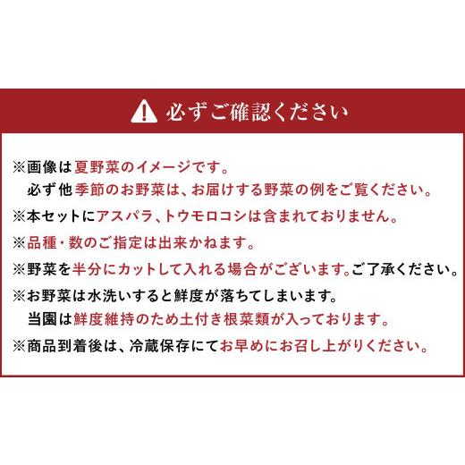ふるさと納税 セット・詰合せ 北海道 北広島市 有機JAS認定 季節の野菜詰め合わせ 〜有機野菜セットC〜の画像