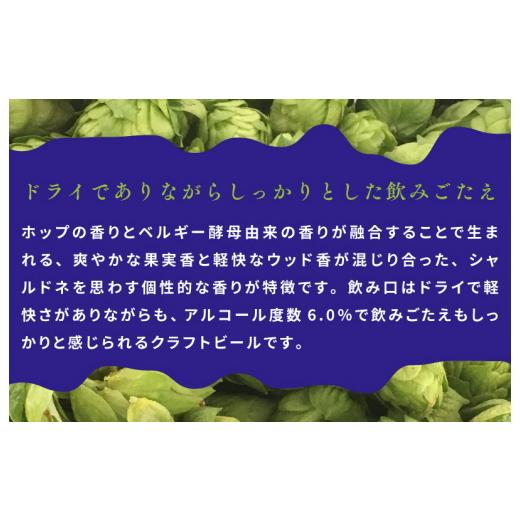 ふるさと納税 ビール 大阪府 泉佐野市 裏通りのドンダバダ 12本 クラフトビール お酒 beer びーる 宅飲み 家飲み 高評価 ふるさと納税限定 泉佐野オリジナル …_4