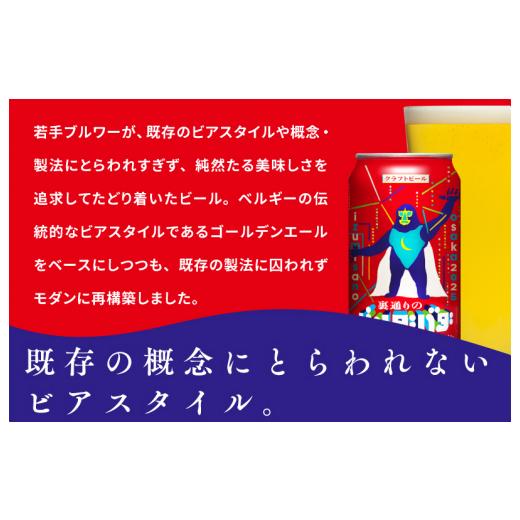 ふるさと納税 ビール 大阪府 泉佐野市 裏通りのドンダバダ 12本 クラフトビール お酒 beer びーる 宅飲み 家飲み 高評価 ふるさと納税限定 泉佐野オリジナル …_5