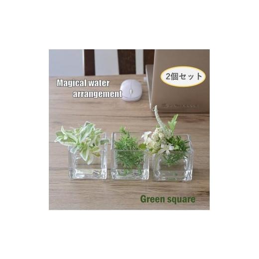 ふるさと納税 花・苗木 東京都 武蔵野市 チェリーリーフ、チェリーリーフ マジカルウォーター 2個セット 「 グリーンスクエア 」 チェリーリーフ、チェリーリ…