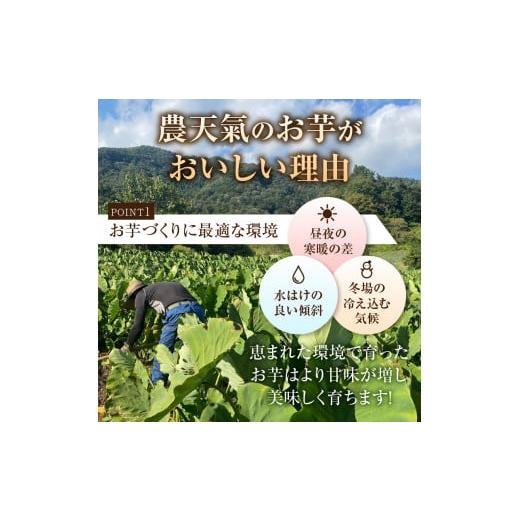 ふるさと納税 山梨県 上野原市 ◆◆2024年度収穫分先行予約◆◆山梨県上野原市産 厳選３種の芋（里芋・京芋・海老芋）セット 各約1.2kg×3種｜furusatochoice｜07