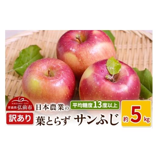 ふるさと納税 りんご 青森県 弘前市 25年11月〜発送 りんご 平均糖度13度以上 葉とらずサンふじ 約5kg 訳あり 先行受付 青森 果物 フルーツ 林檎 リンゴ くだ…
