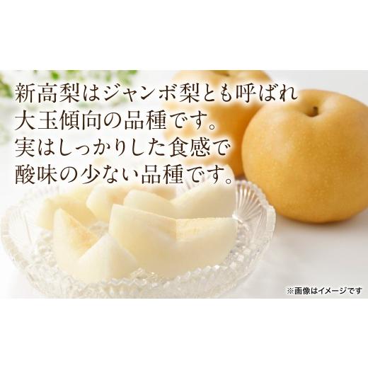 ふるさと納税 梨 熊本県 八代市  先行予約 新高梨 約5kg (5〜20玉) 梨 なし ナシ フルーツ くだもの 果物 旬 熊本県 八代市 2026年9月中旬より順次発送_2