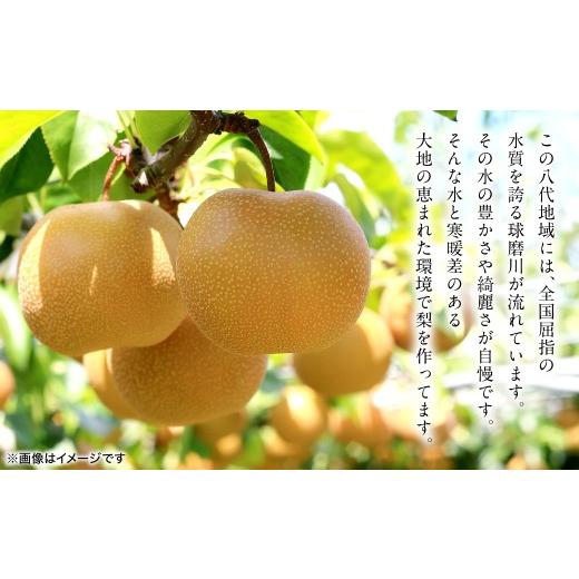 ふるさと納税 梨 熊本県 八代市  先行予約 新高梨 約5kg (5〜20玉) 梨 なし ナシ フルーツ くだもの 果物 旬 熊本県 八代市 2026年9月中旬より順次発送_3
