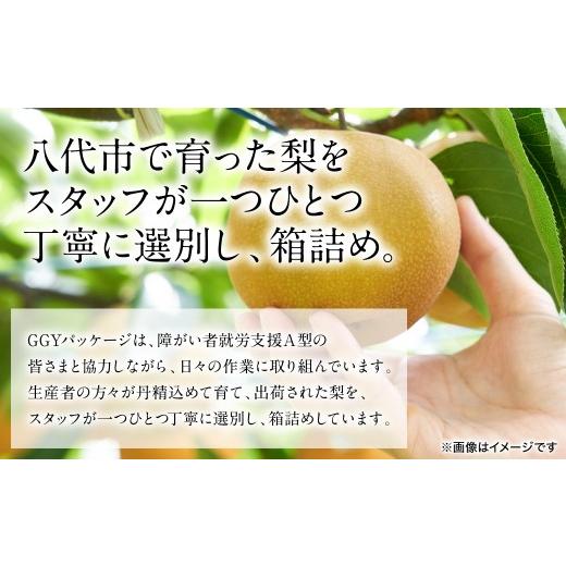 ふるさと納税 梨 熊本県 八代市  先行予約 新高梨 約5kg (5〜20玉) 梨 なし ナシ フルーツ くだもの 果物 旬 熊本県 八代市 2026年9月中旬より順次発送_4