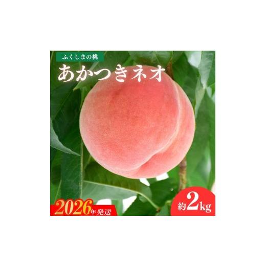 ふるさと納税 もも 福島県 福島市 No.2783福島のもも「あかつきネオ」2kg 2026年発送 先行予約の画像