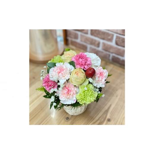 ふるさと納税 花・苗木 花束 茨城県 坂東市 （ピンク系）Mサイズ 癒し生活 季節のおまかせフラワーアレンジメント ／ ギフト 記念日 お花 茨城県 No.484の画像