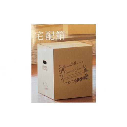 ふるさと納税 花・苗木 花束 茨城県 坂東市 （ピンク系）Mサイズ 癒し生活 季節のおまかせフラワーアレンジメント ／ ギフト 記念日 お花 茨城県 No.484の画像